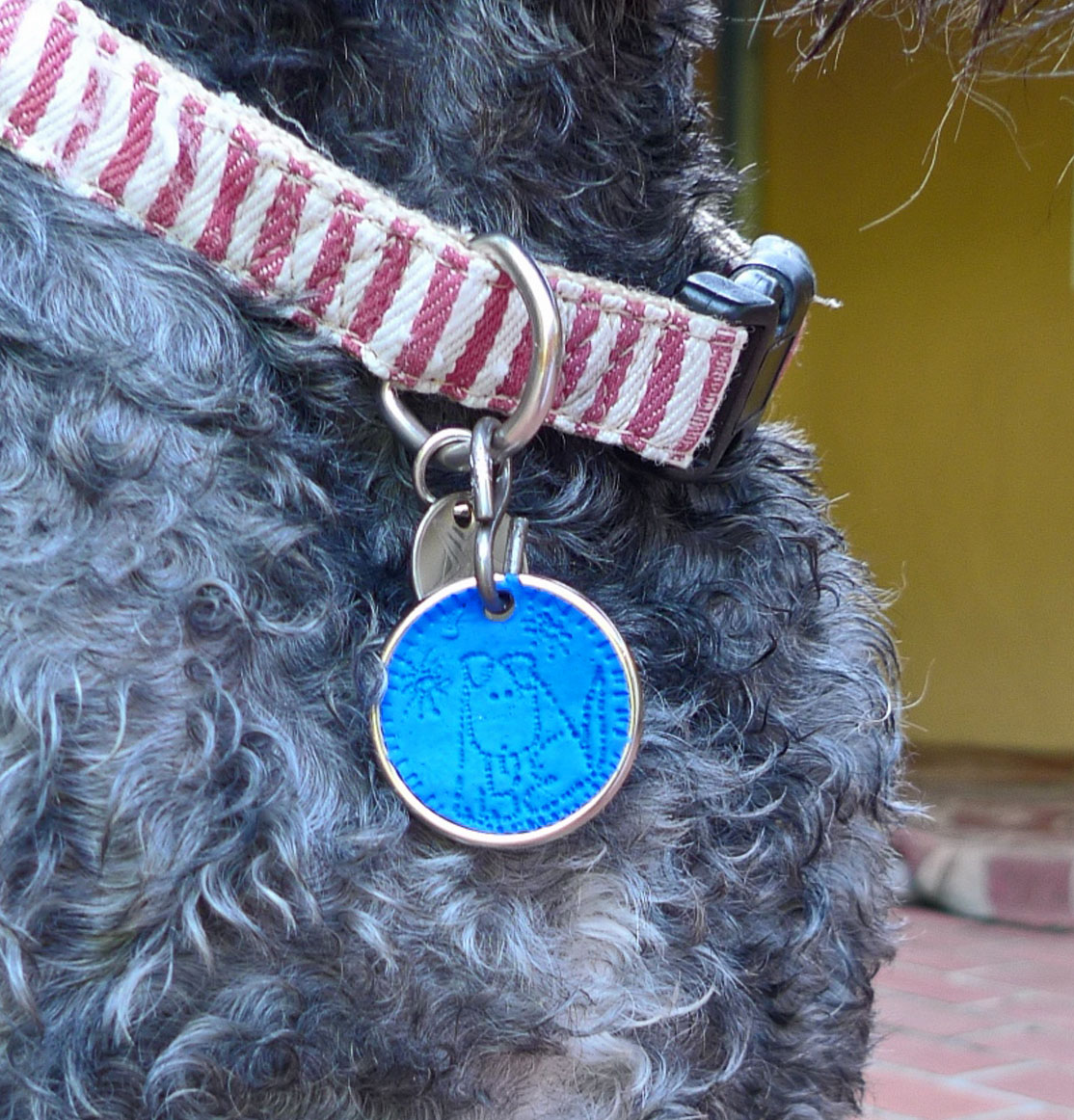 TAG ON COLLAR.jpg