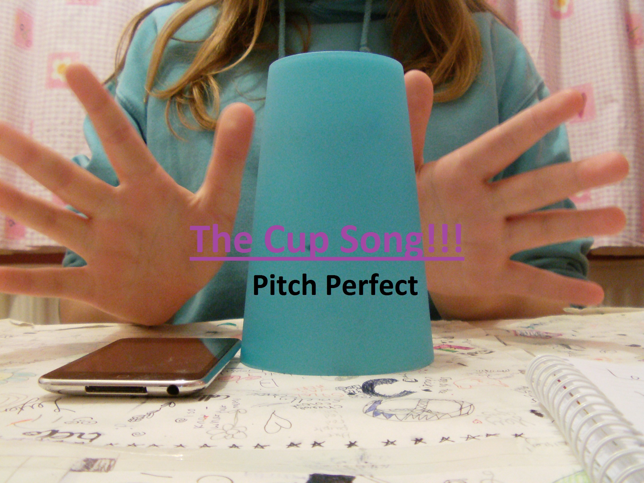 THE CUP SONG!!!.JPG