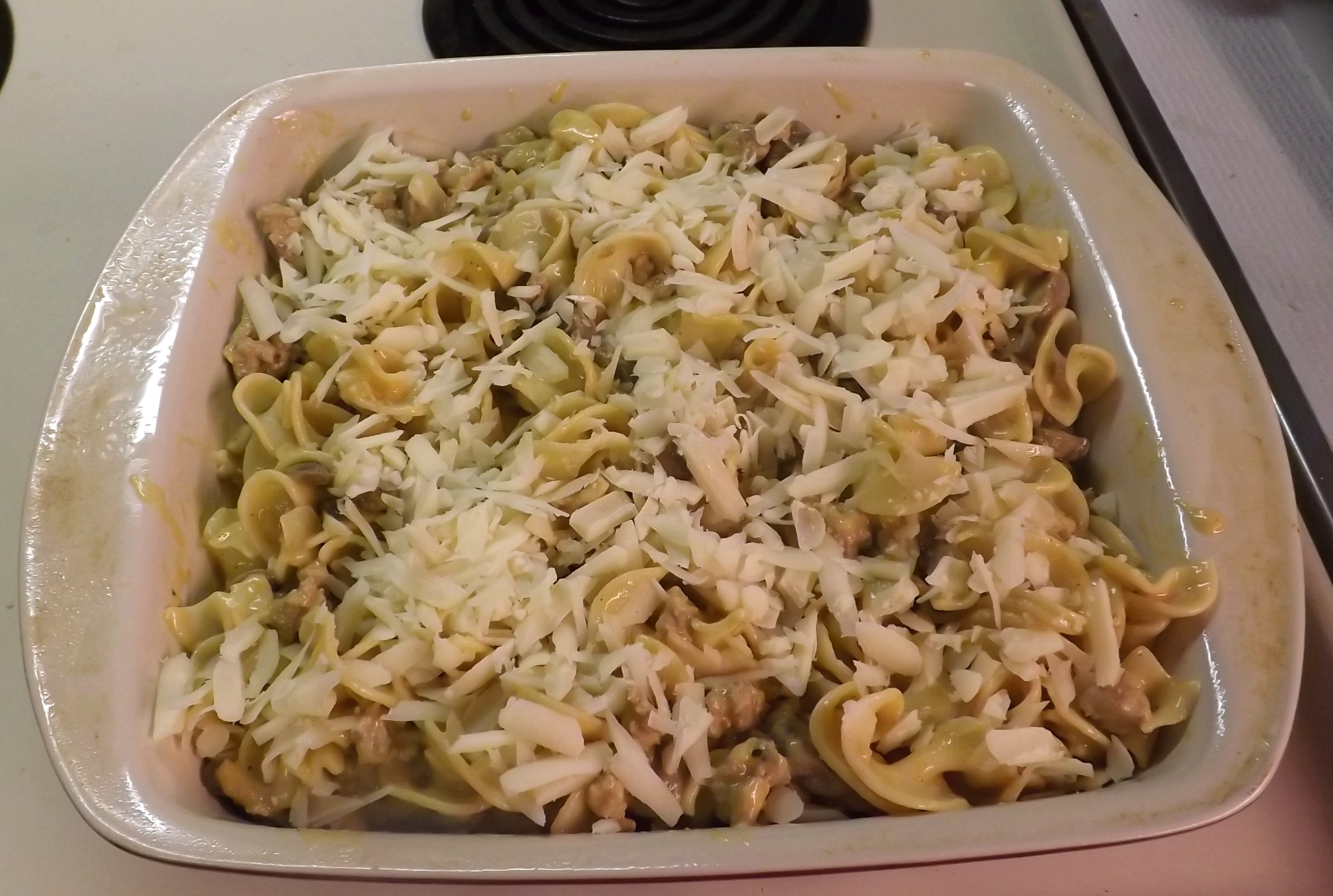 TURKEY STROGANOFF 023.JPG