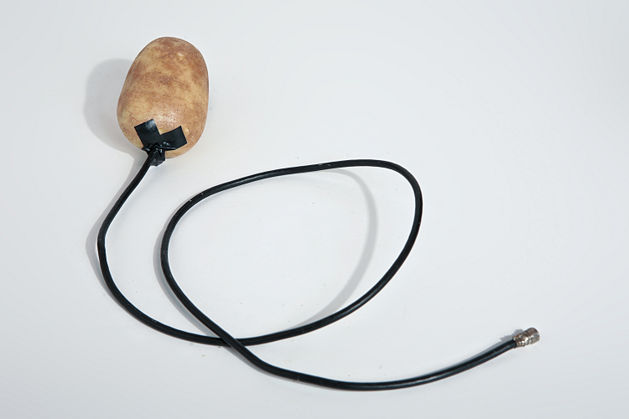 TVAntennaPotato.jpg