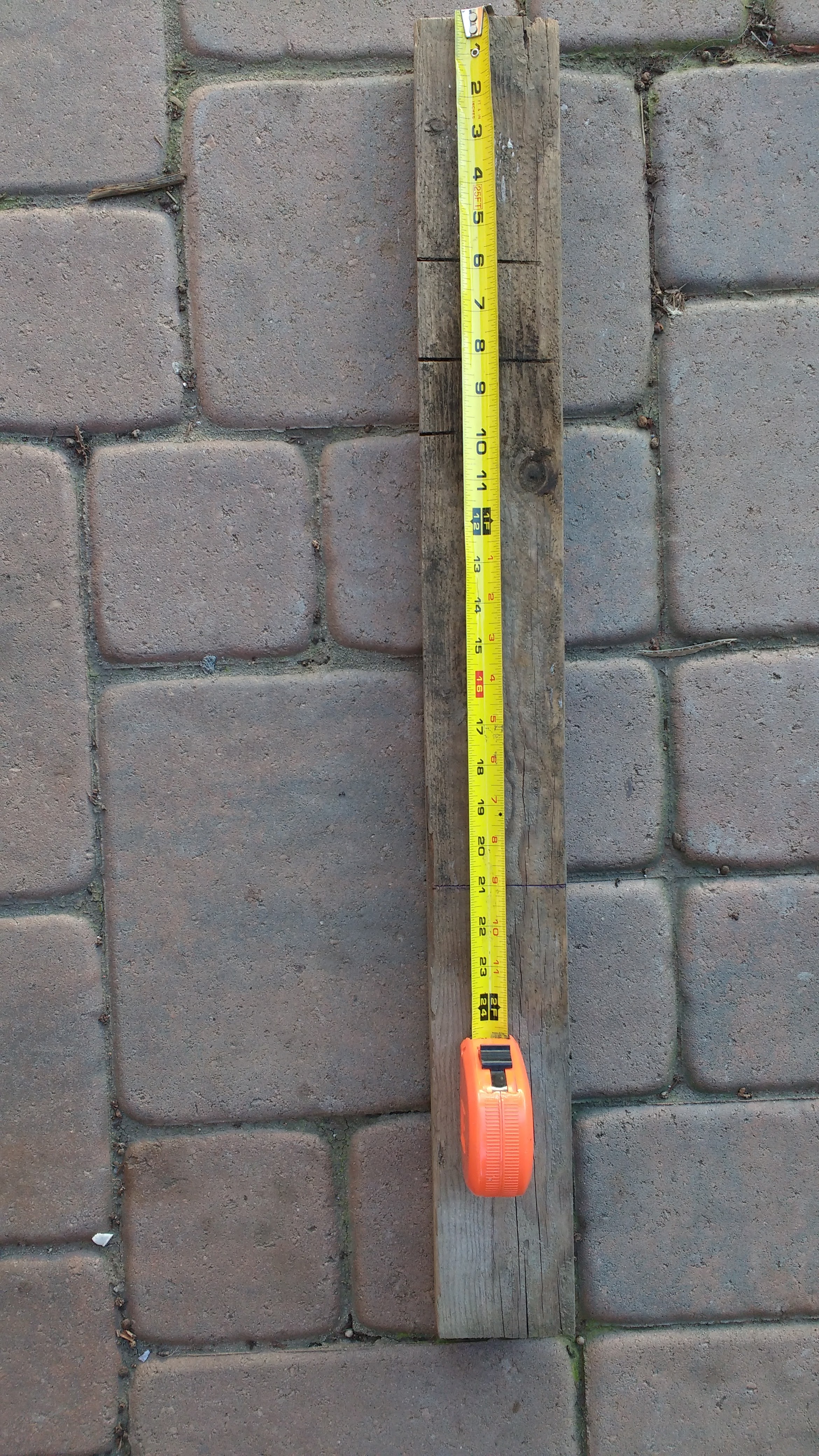 Tape measure(2).jpg