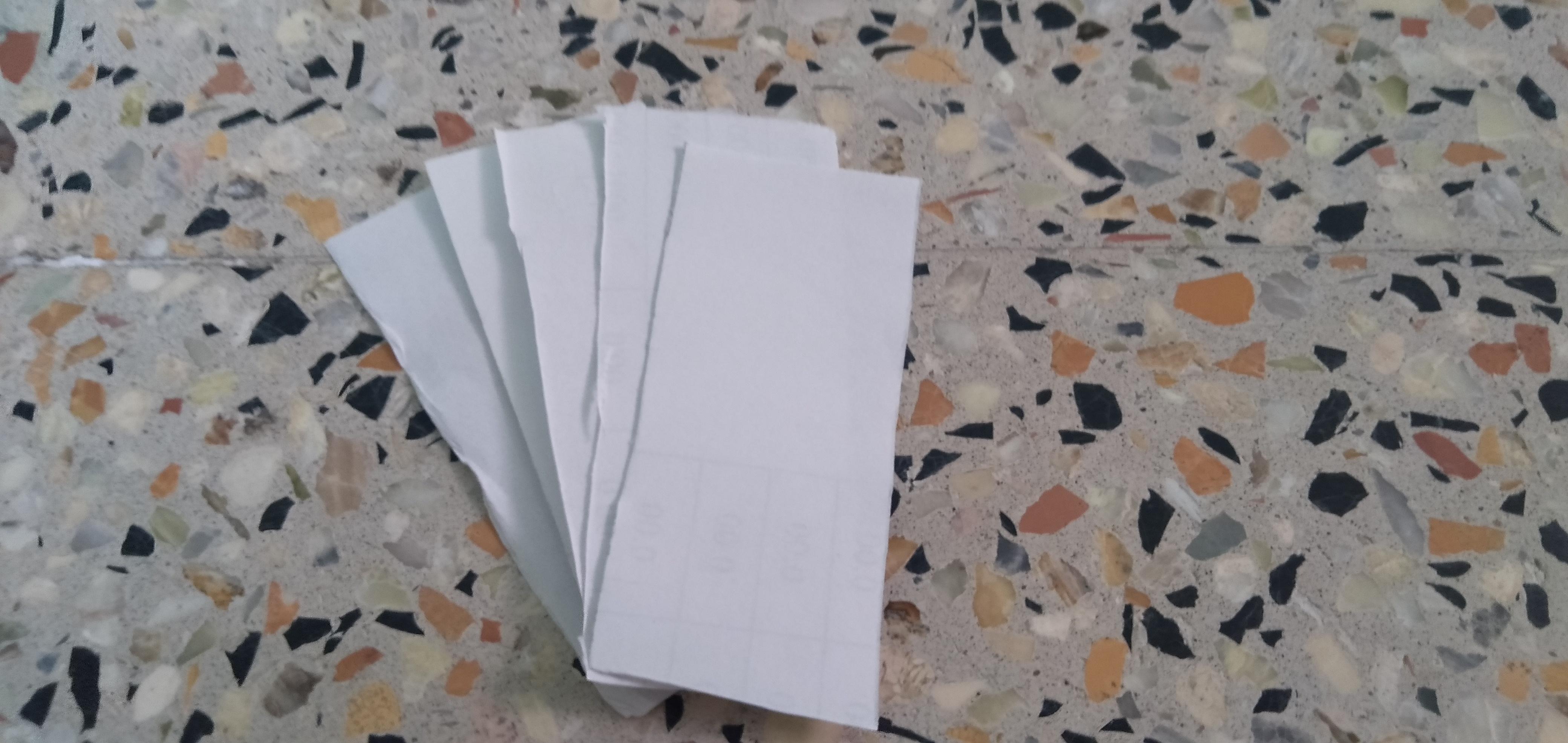 Task-Card White slips.jpg