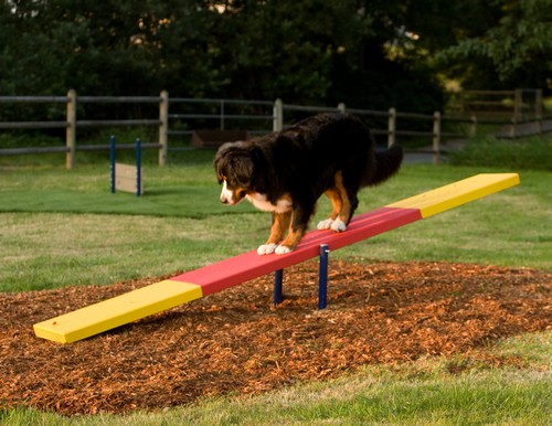 Teeter Totter .jpg