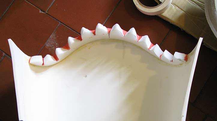 Teeth lower jaw.jpg