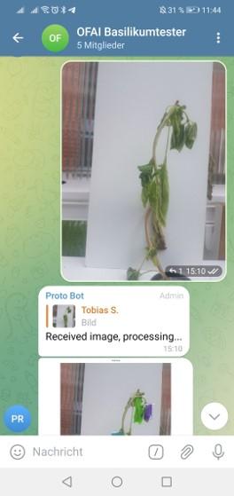 Telegram3.jpg
