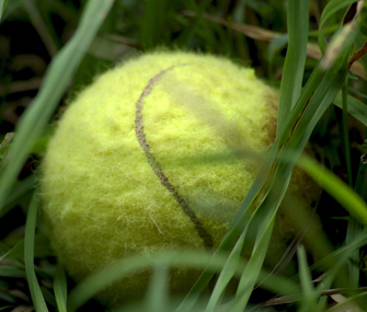 Tennis ball_89100084.jpg