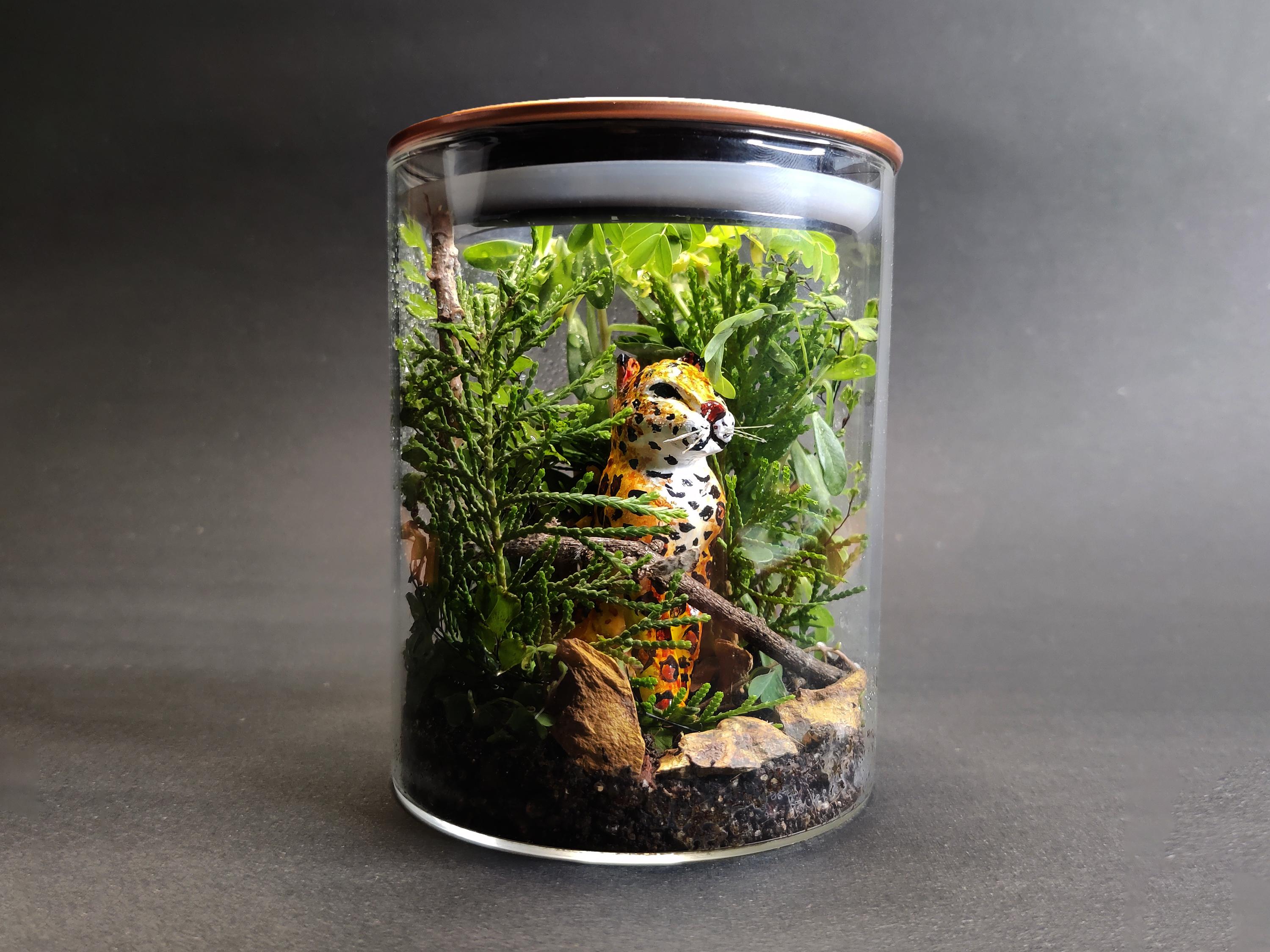 Terrarium 3.4.jpg