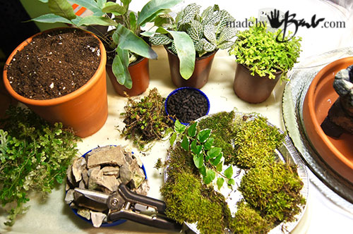 Terrariums---Glass-Gardens--madebybarb-1.jpg