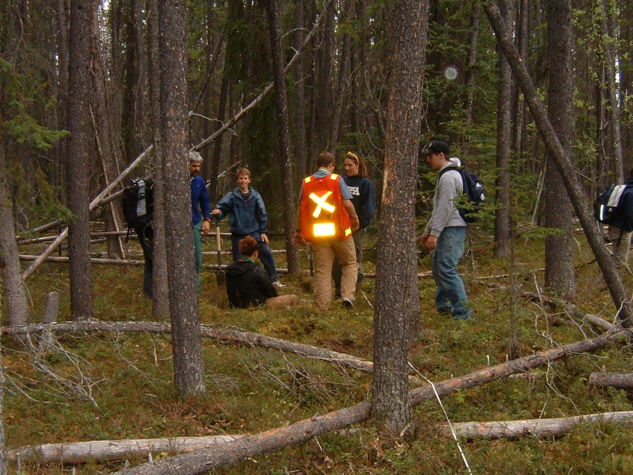 Teslin demo f3.jpg