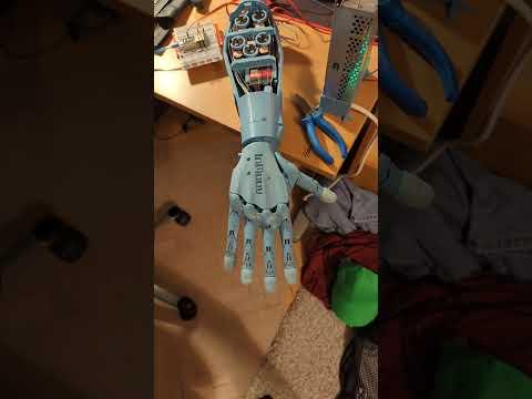 Testing Servo motors on bionic hand