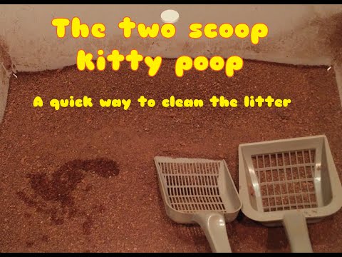 The 2 scoop kitty poop method