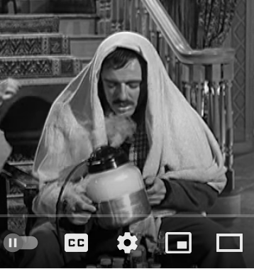 The Adams Family S2E3 Morticia's Romance (Part 1) - Gomez using a Steam Inhaler.png