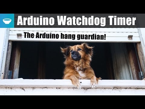 The Arduino hang guardian - Arduino watchdog timer tutorial