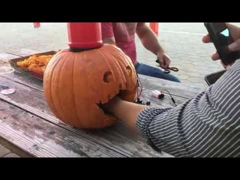 The Giving Pumpkin in action