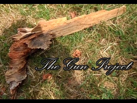 The Gun Project