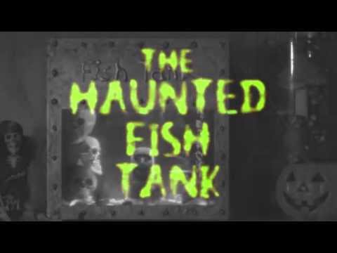 The Haunted Fish Tank