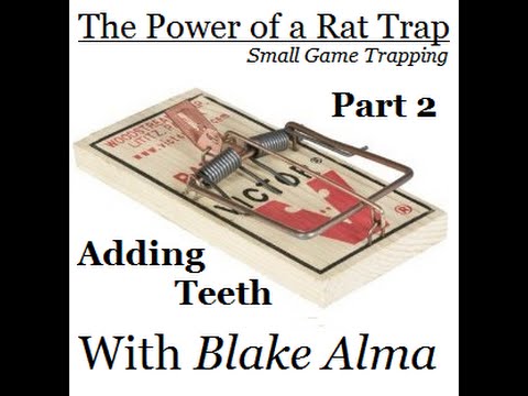 The Power of the Rat Trap, Small Game Trapping Part 2