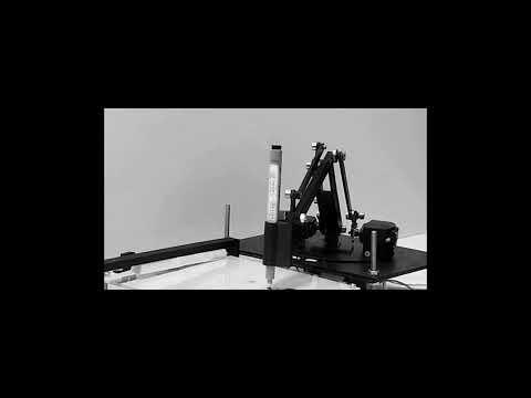 The Punishment: A 3DOF Writing Robot Arm