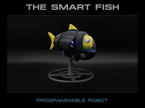 The Smart Fish