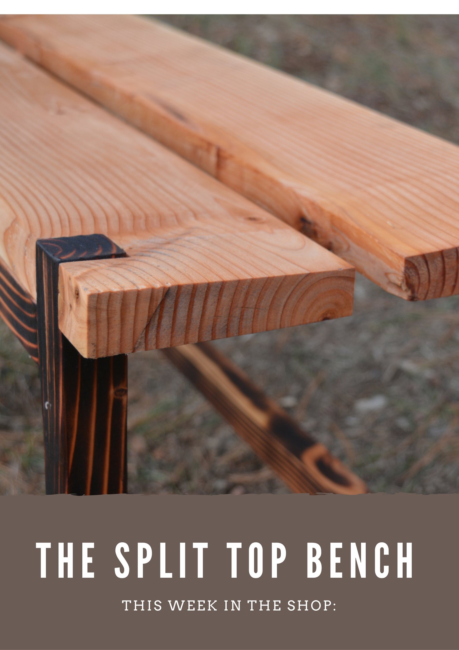 The Split Top Bench.png