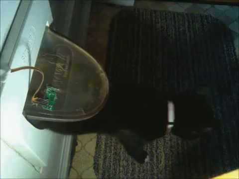 The automatic cat flap monitor with intrusion disuasion technology!