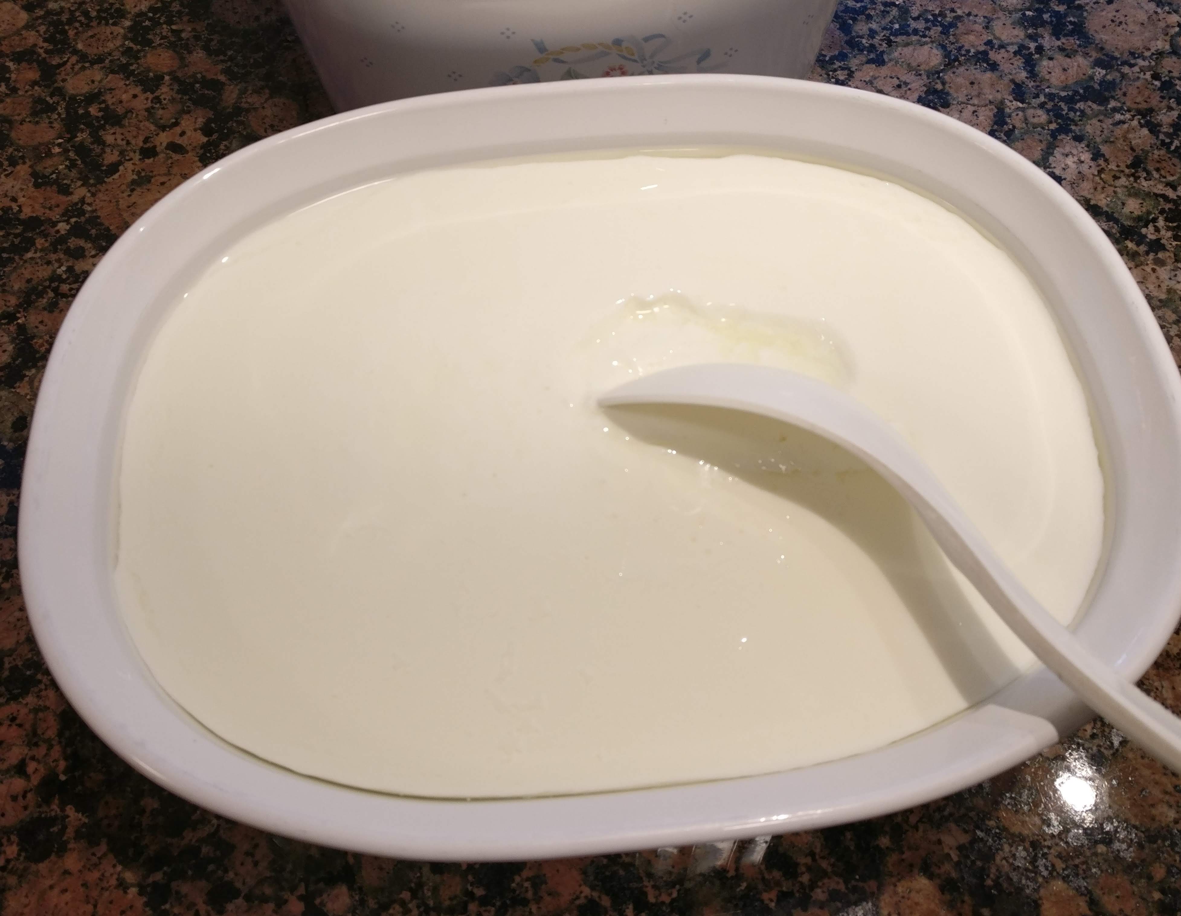 The initial quark after overnight resting.jpg