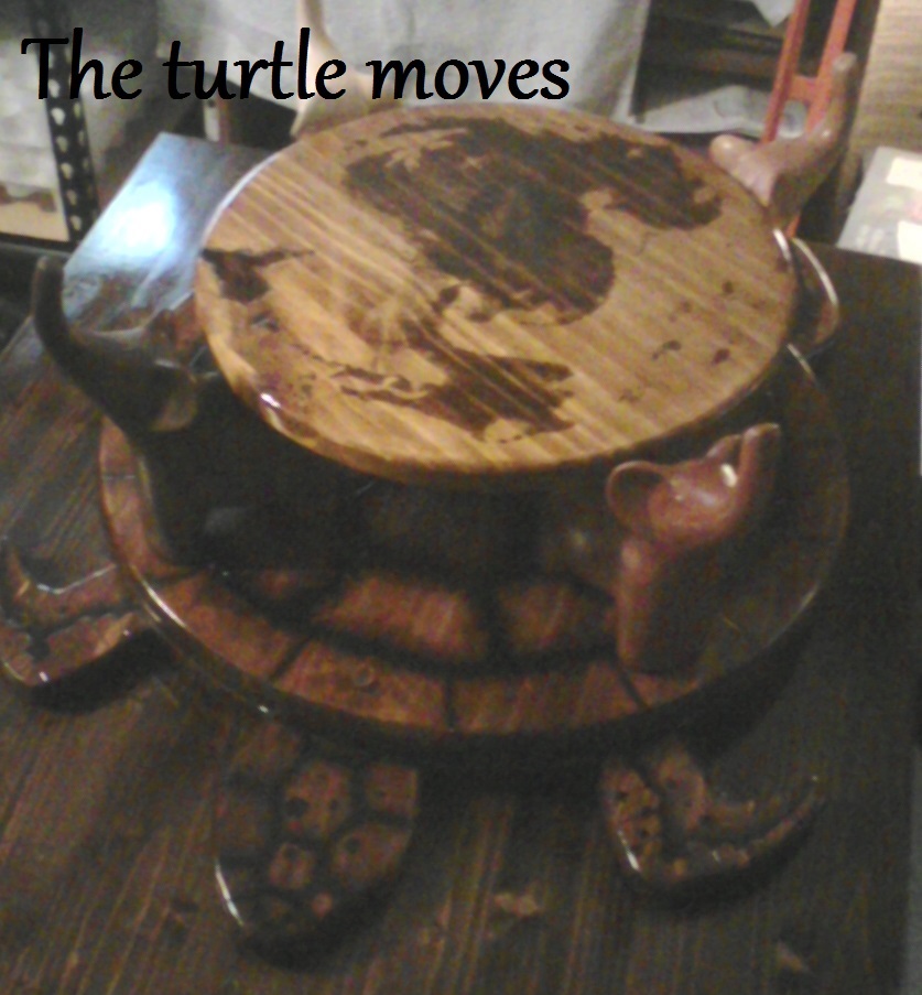 The turtle moves.jpg