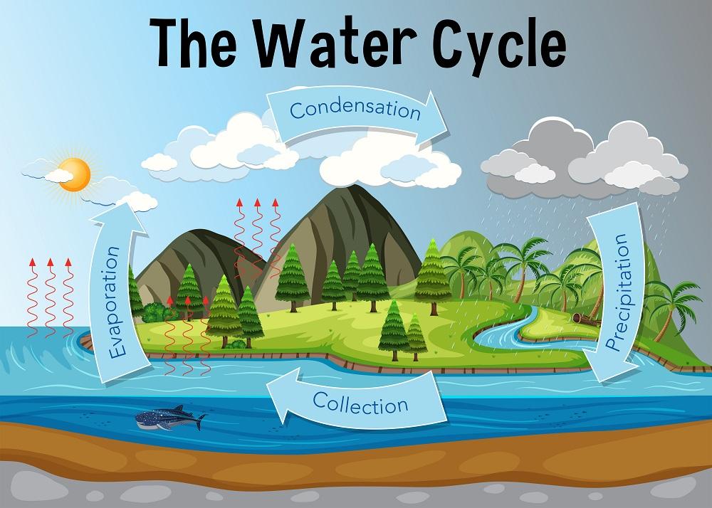 The-water-cycle.jpg