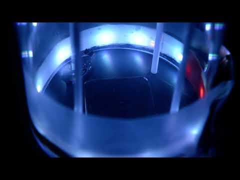 Thermoelectric Cloud Chamber - Alpha Particle Detection