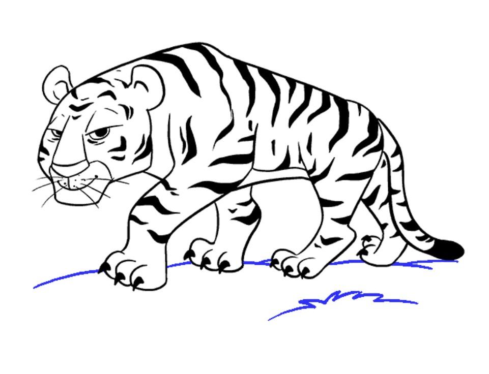 Tiger Outline.jpg