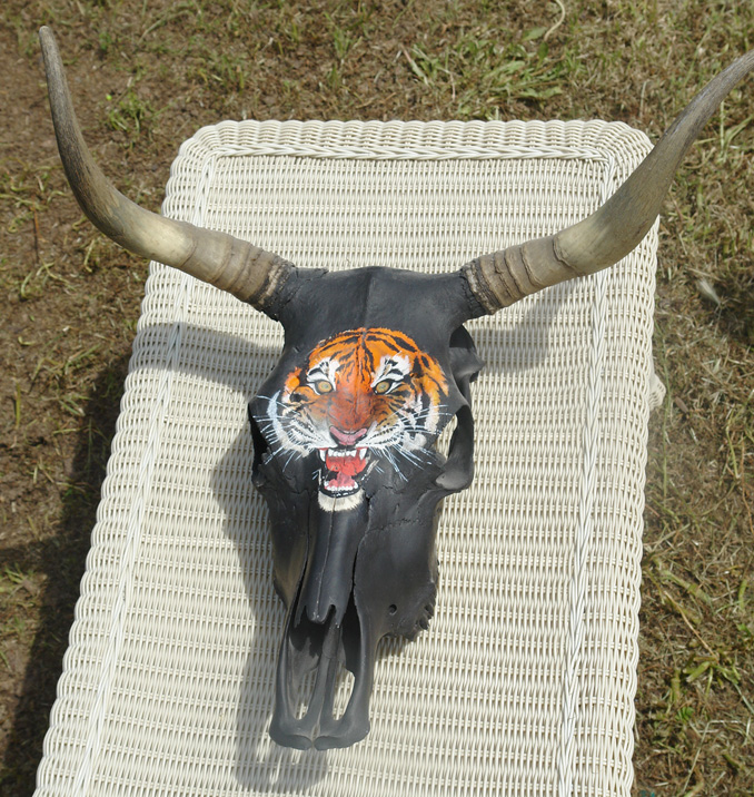 Tiger head 1.jpg