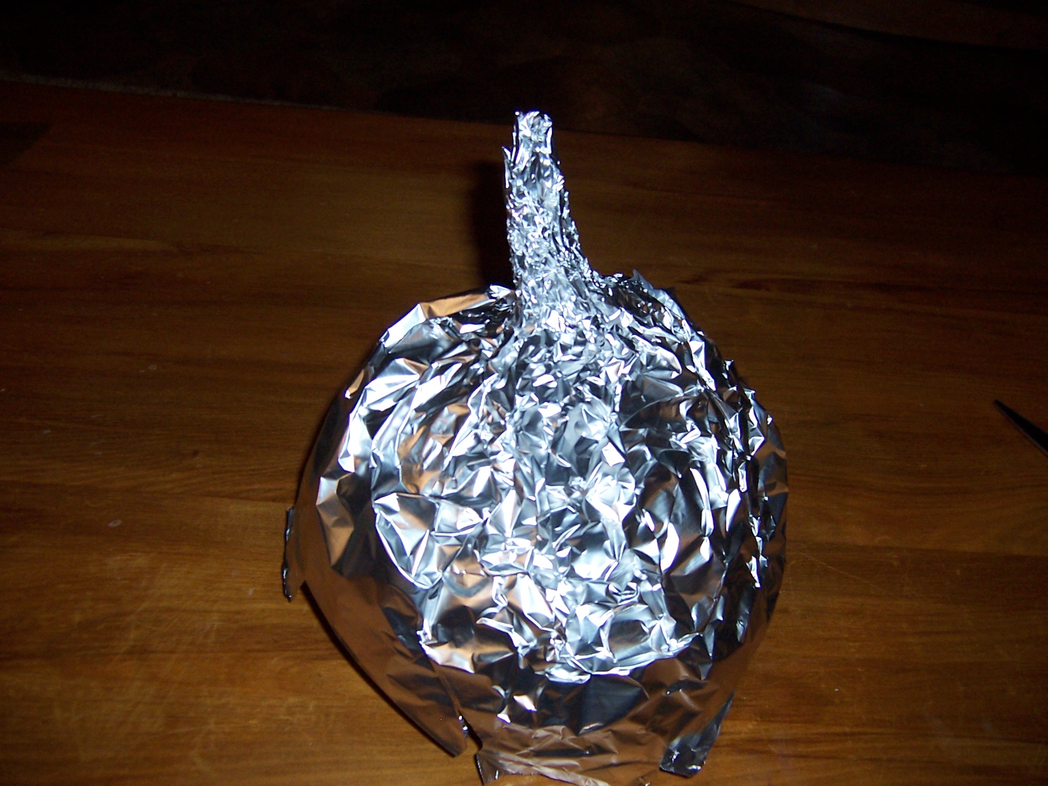 Tinfoil helmet 011.JPG