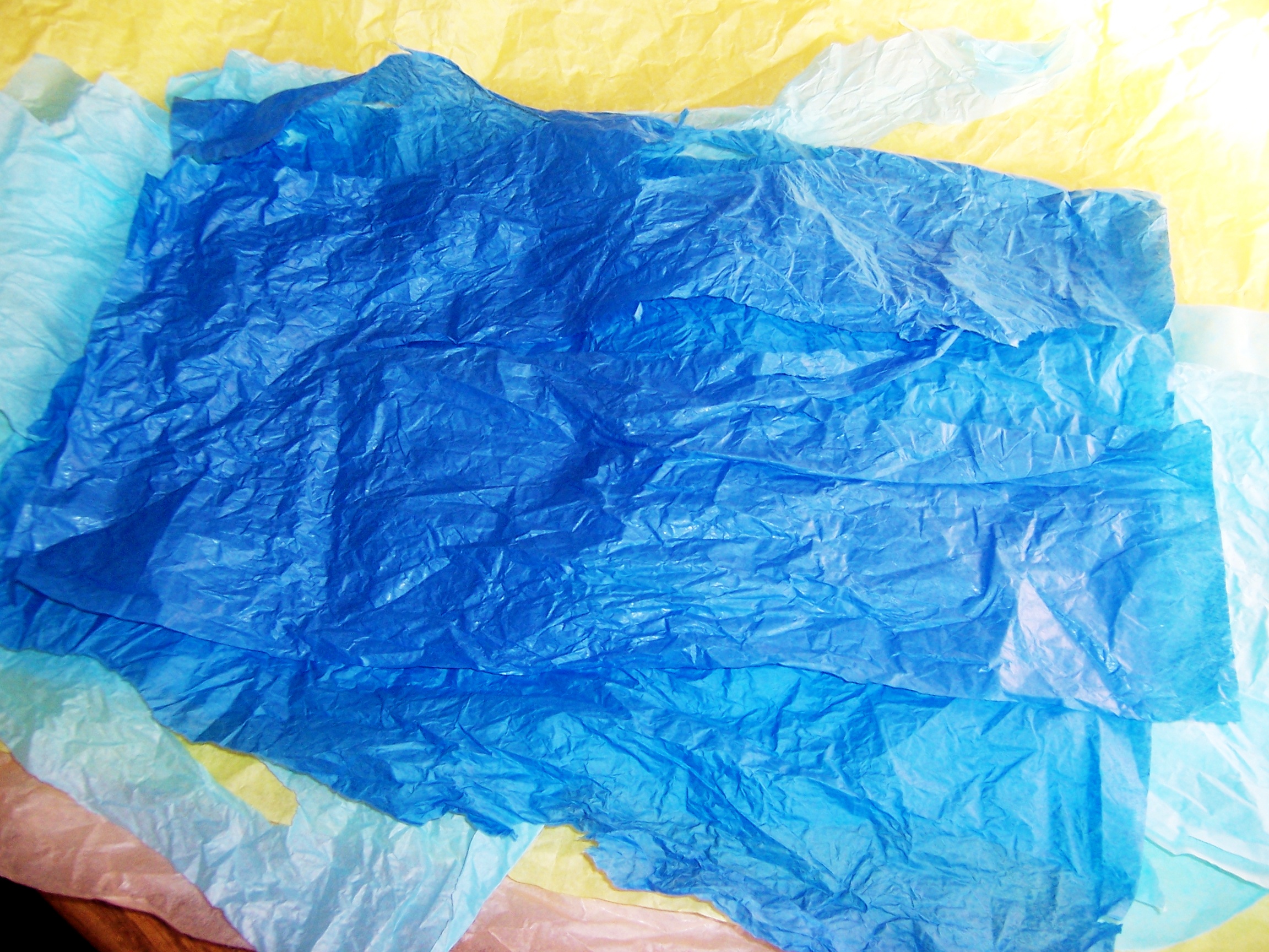 Tissue Paper Recycling 6.jpg