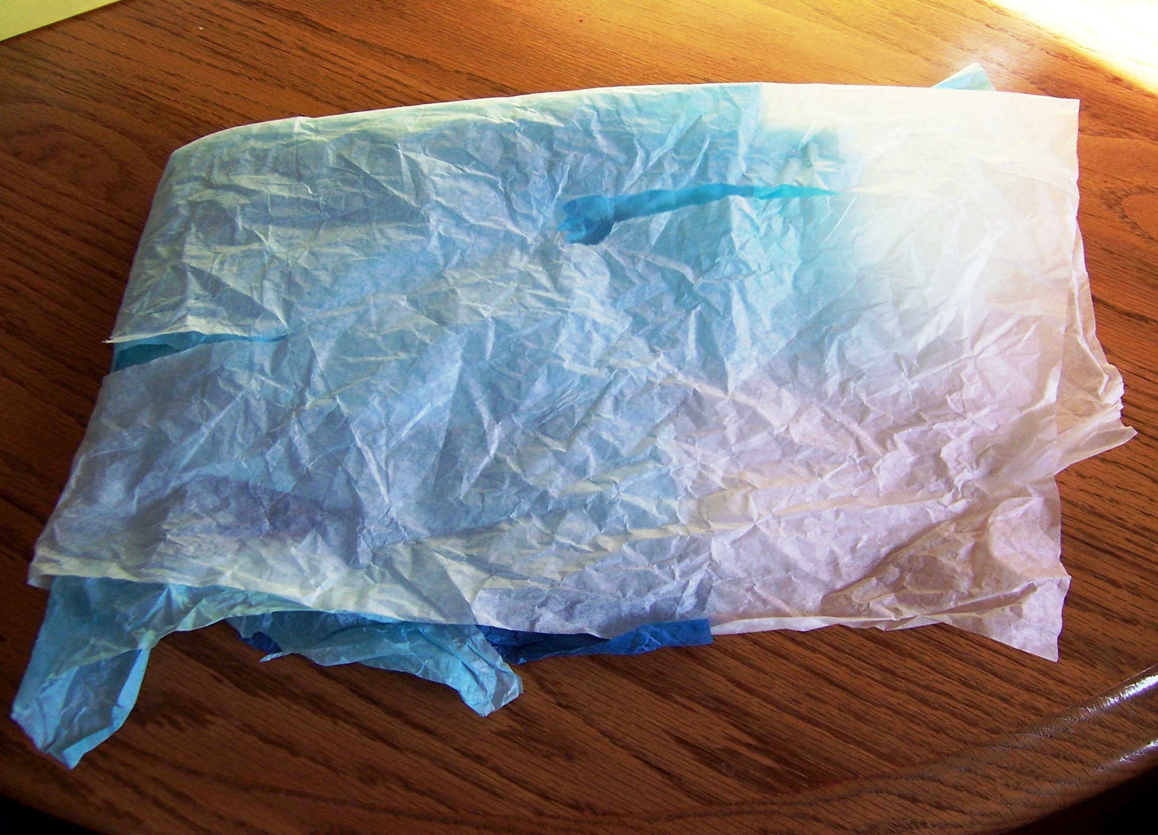 Tissue Paper Recycling 7.jpg