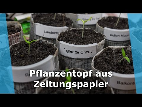 Topfschild f&amp;uuml;r Blumentopf aus Zeitungspapier