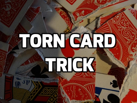 Torn cards crazy card trick revealed! [MUST SEE] #magictutorials