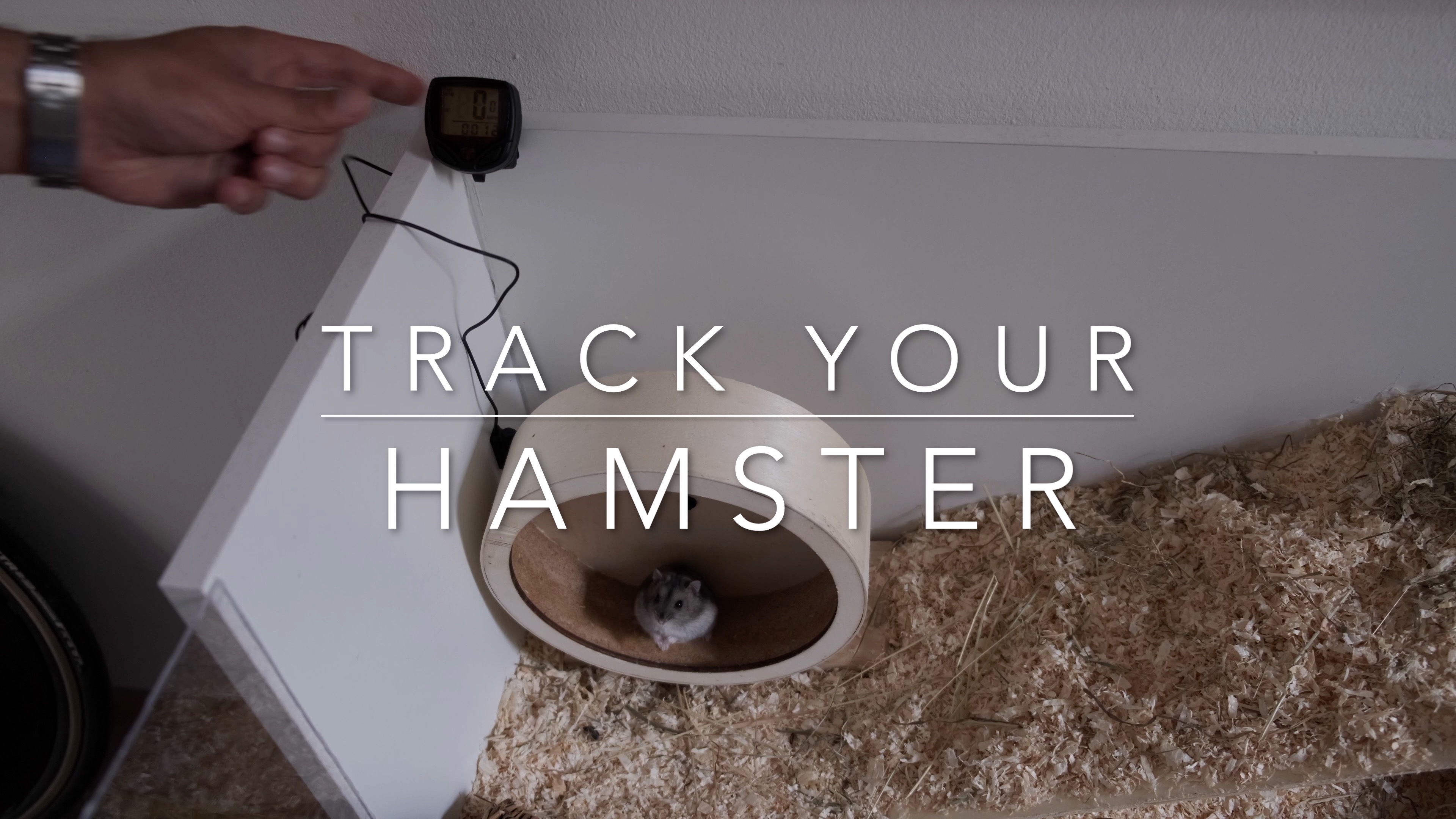 Track your hamster.jpg