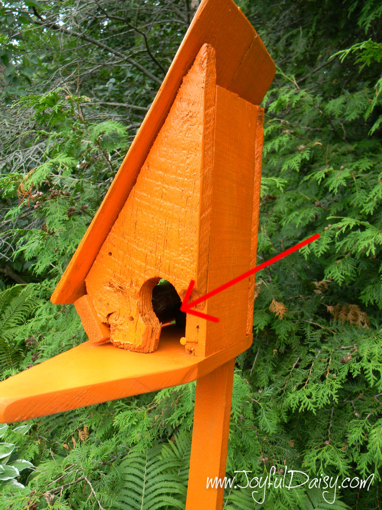 Treasure Hunt Bird House.jpg