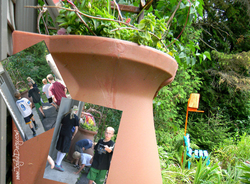 Treasure Hunt Rain Barrel.jpg