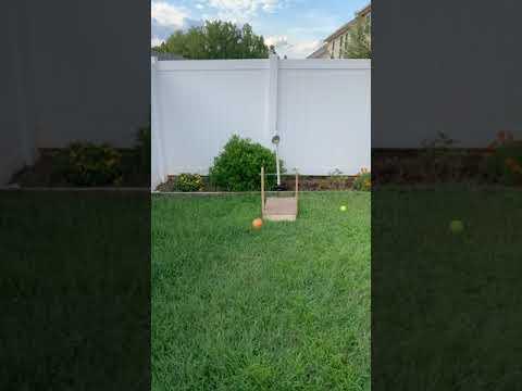 Trebuchet Demonstration