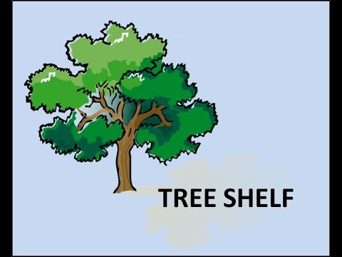 Tree Shelf Build