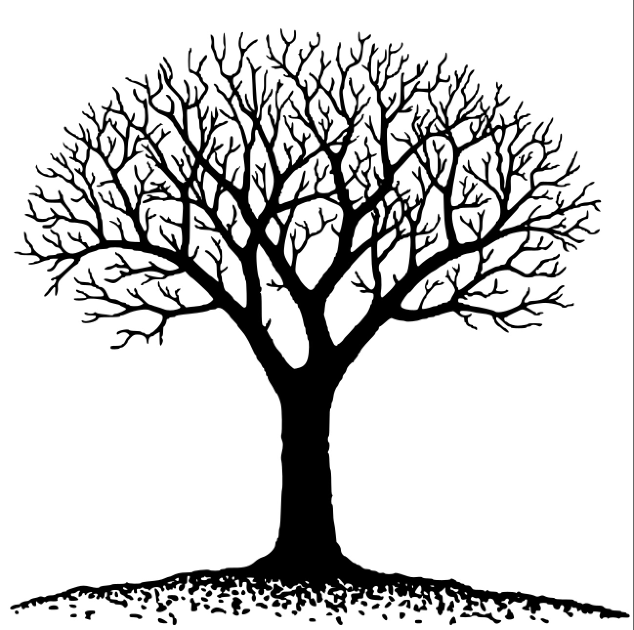 Tree Vectorized.jpeg