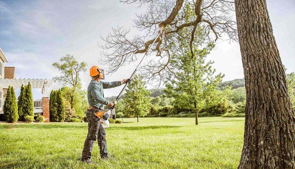 Tree-trimming-from-ground-1024x586.jpg