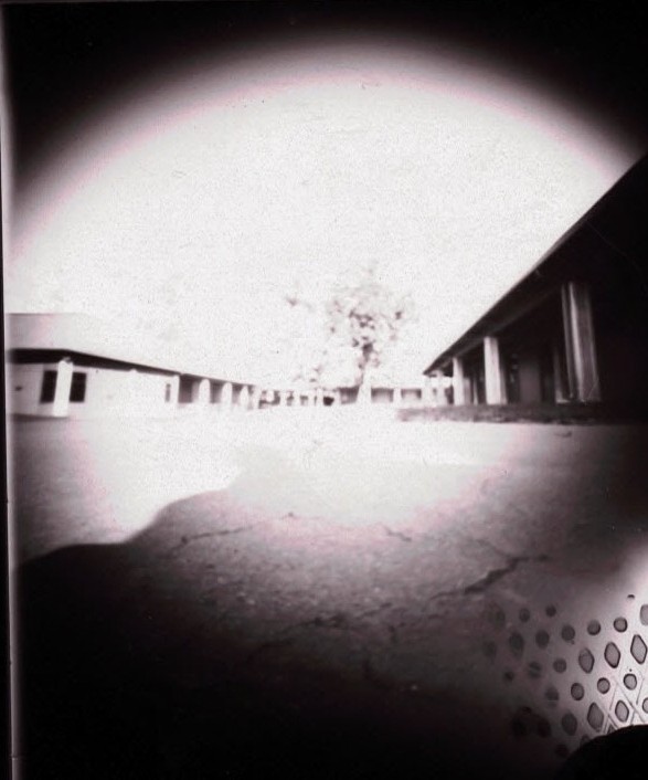 Tree_Pinhole_Series_1.jpg