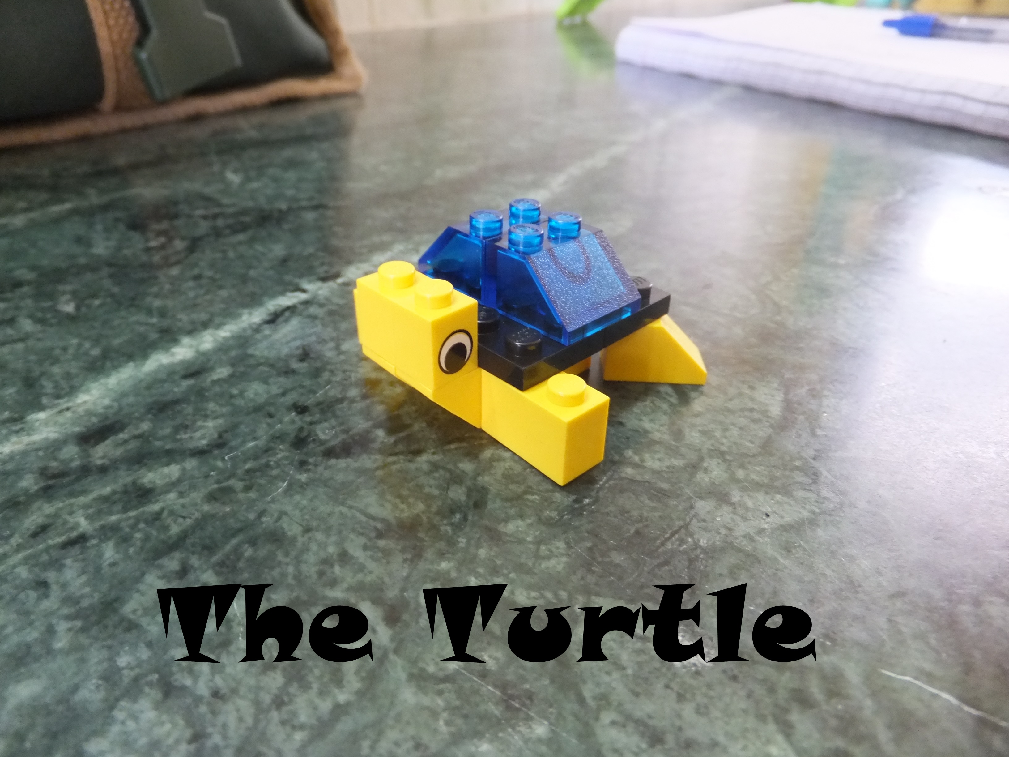 Turtle Cocver.JPG