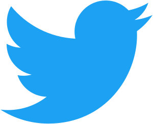 Twitter-logo-2012.png