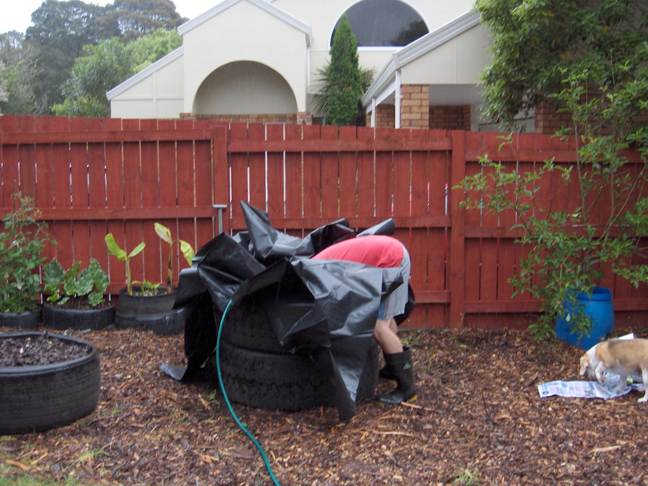 Tyre pond 071209 002.jpg