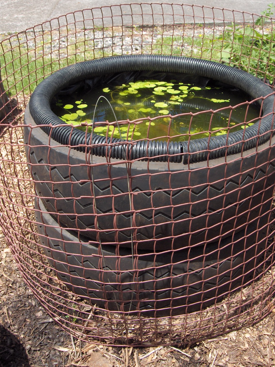 Tyre pond surround 080126 002.jpg