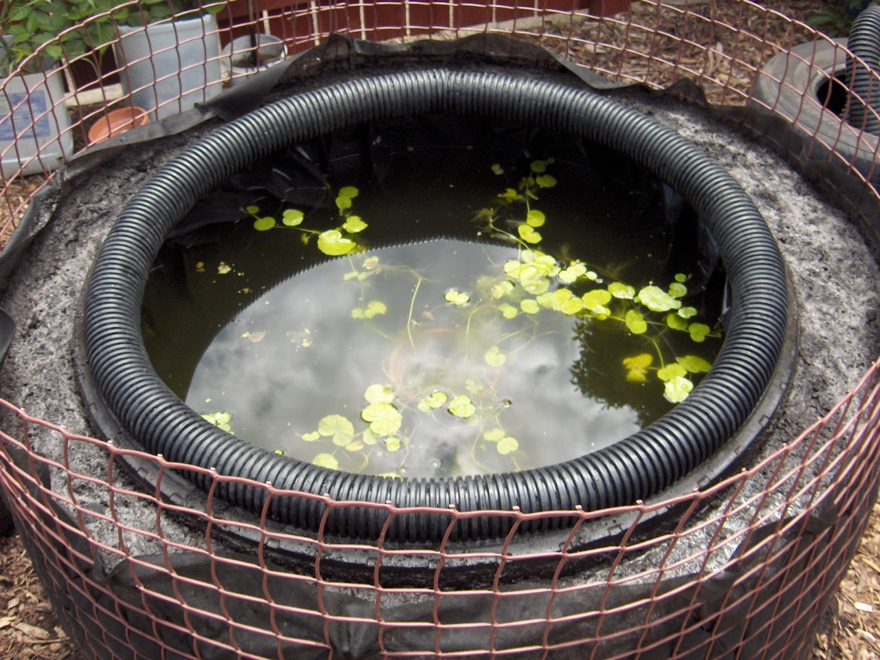 Tyre pond surround 080126 008.jpg