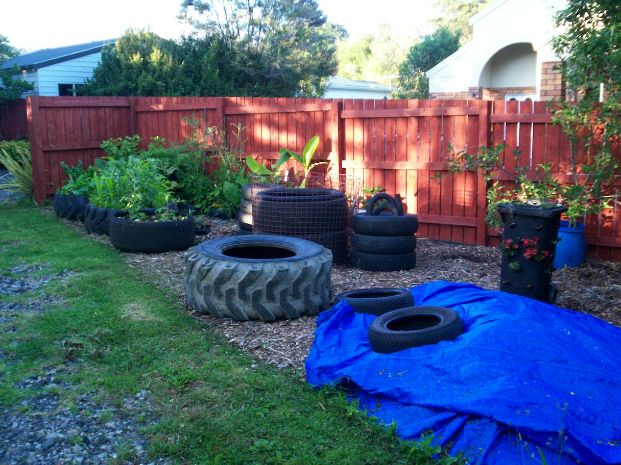 Tyre pond surround 080126 011.jpg